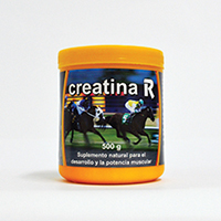 Creatina R